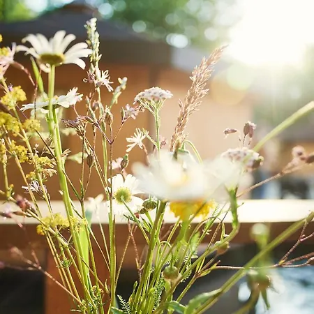 Villa Pikol Village Wine Estate