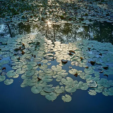 Pikol Village Wine Estate *