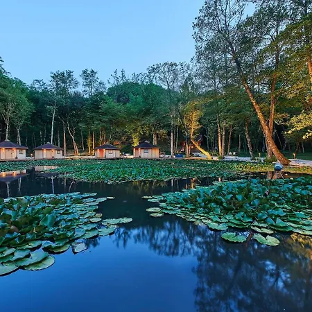 Pikol Village Wine Estate * נובה גוריקה