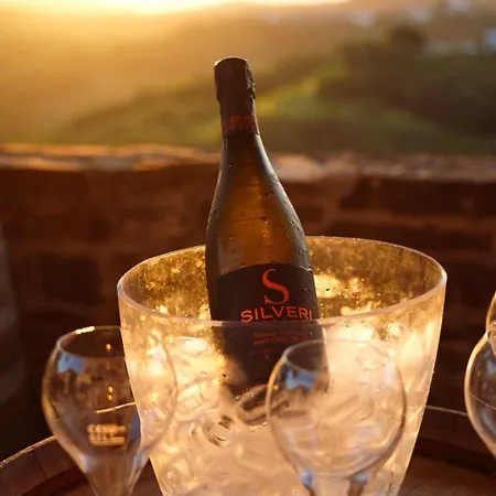 Pikol Village Wine Estate Nova Gorica