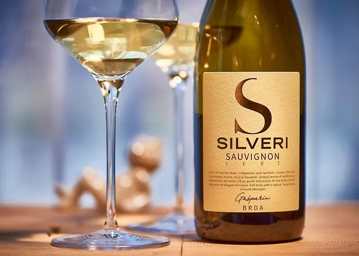 Pikol Village Wine Estate Vila Nova Gorica