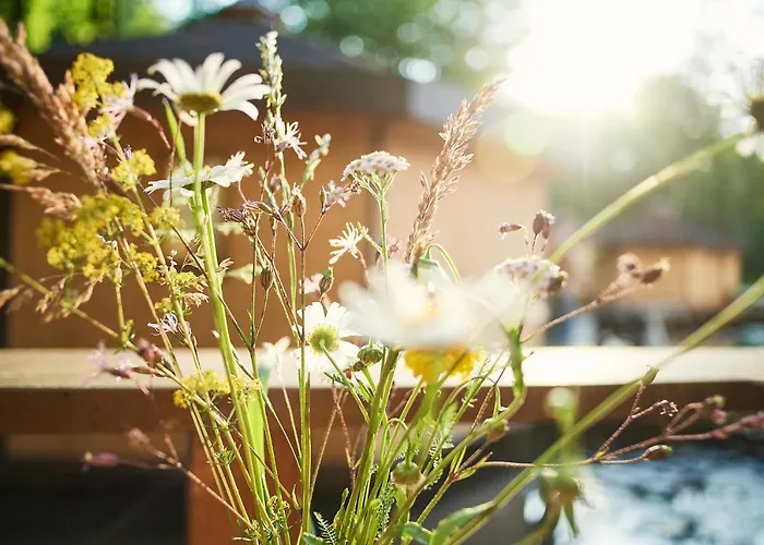 Vila Pikol Village Wine Estate