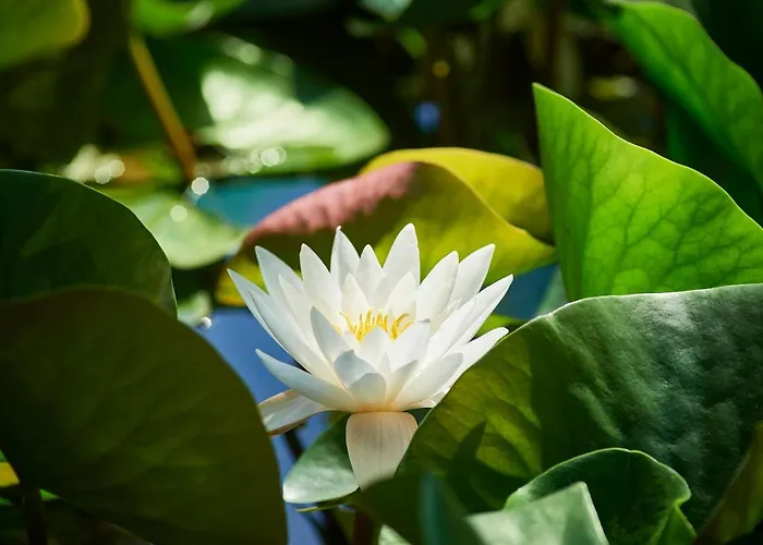 Vila Pikol Village Wine Estate Nova Gorica