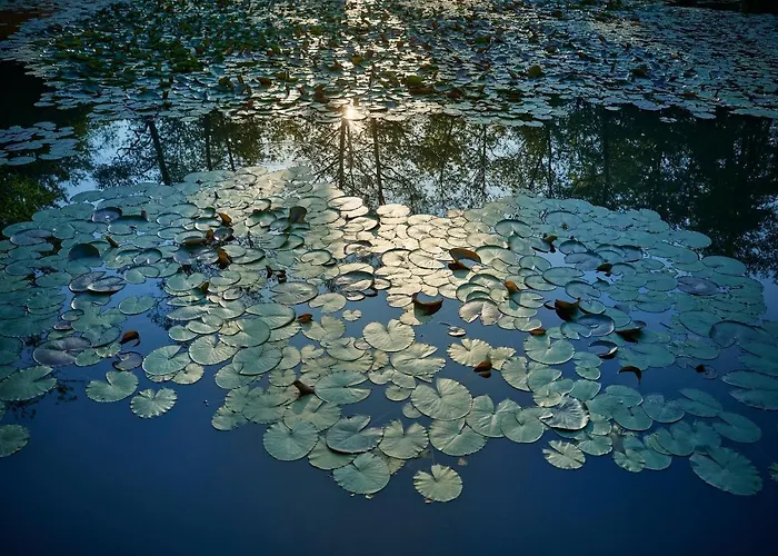 Pikol Village Wine Estate *