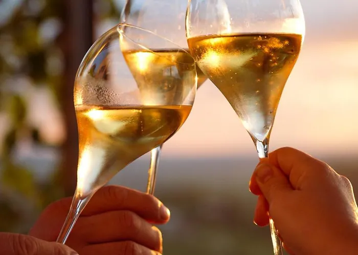 Villa Pikol Village Wine Estate *