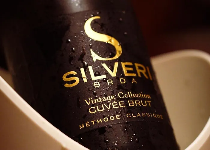 Vila Pikol Village Wine Estate Nova Gorica