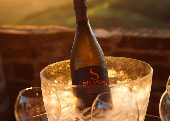 Pikol Village Wine Estate Nova Gorica